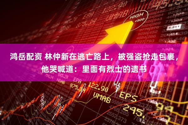 鸿岳配资 林仲新在逃亡路上，被强盗抢走包裹，他哭喊道：里面有烈士的遗书