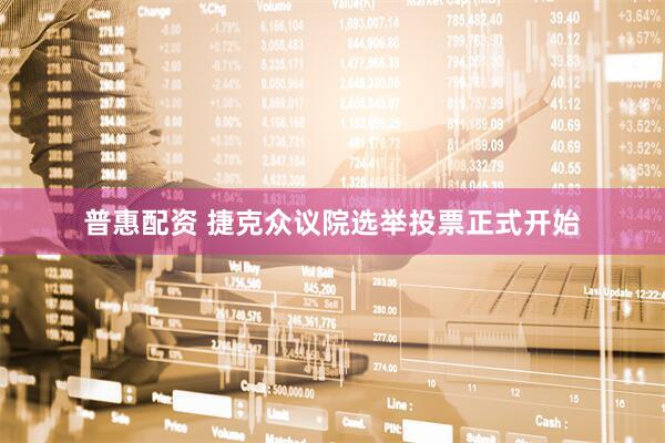 普惠配资 捷克众议院选举投票正式开始