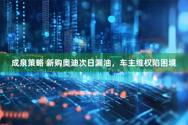 成泉策略 新购奥迪次日漏油，车主维权陷困境