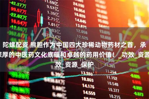 陀螺配资 熊胆作为中国四大珍稀动物药材之首，承载着深厚的中医药文化底蕴和卓越的药用价值！_功效_资源_保护
